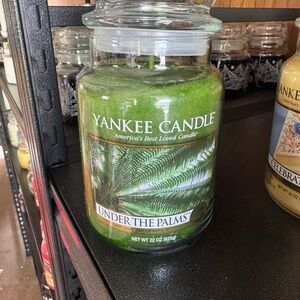Yankee Candle Under the Palms in Vibrant Green
